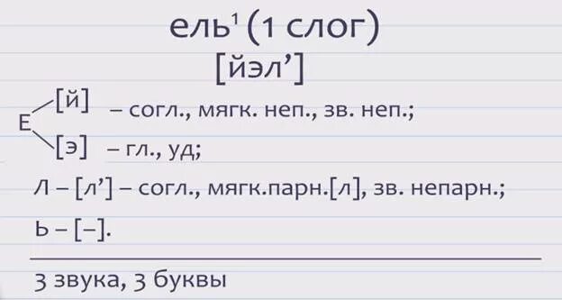 Фонетический анализ слова поешь. Звукобуквенный анализ слова ель. Звуко буквенный анализ слова ель. Фонетический разбор слова ель. Ель буквенно звуковой разбор.