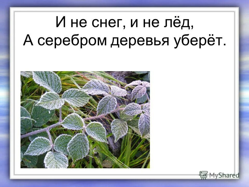 не снег не лед а серебром уберет