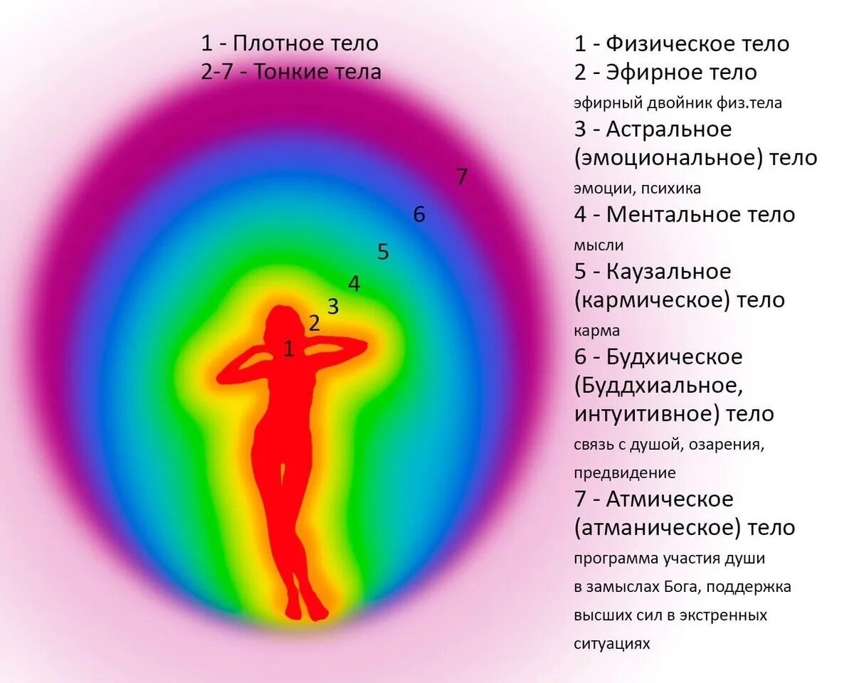 Количества тел человека