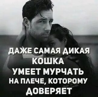 Фразы диких