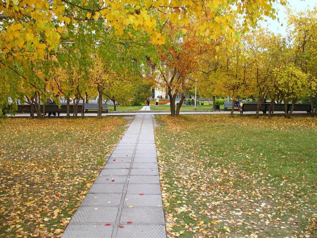 Парк бугринская роща новосибирск. Центральный парк новосибирск летом. Новосиб достопримечательности стоквартирный дом новосибирск. Осень в новосибирске. Осень пруд.