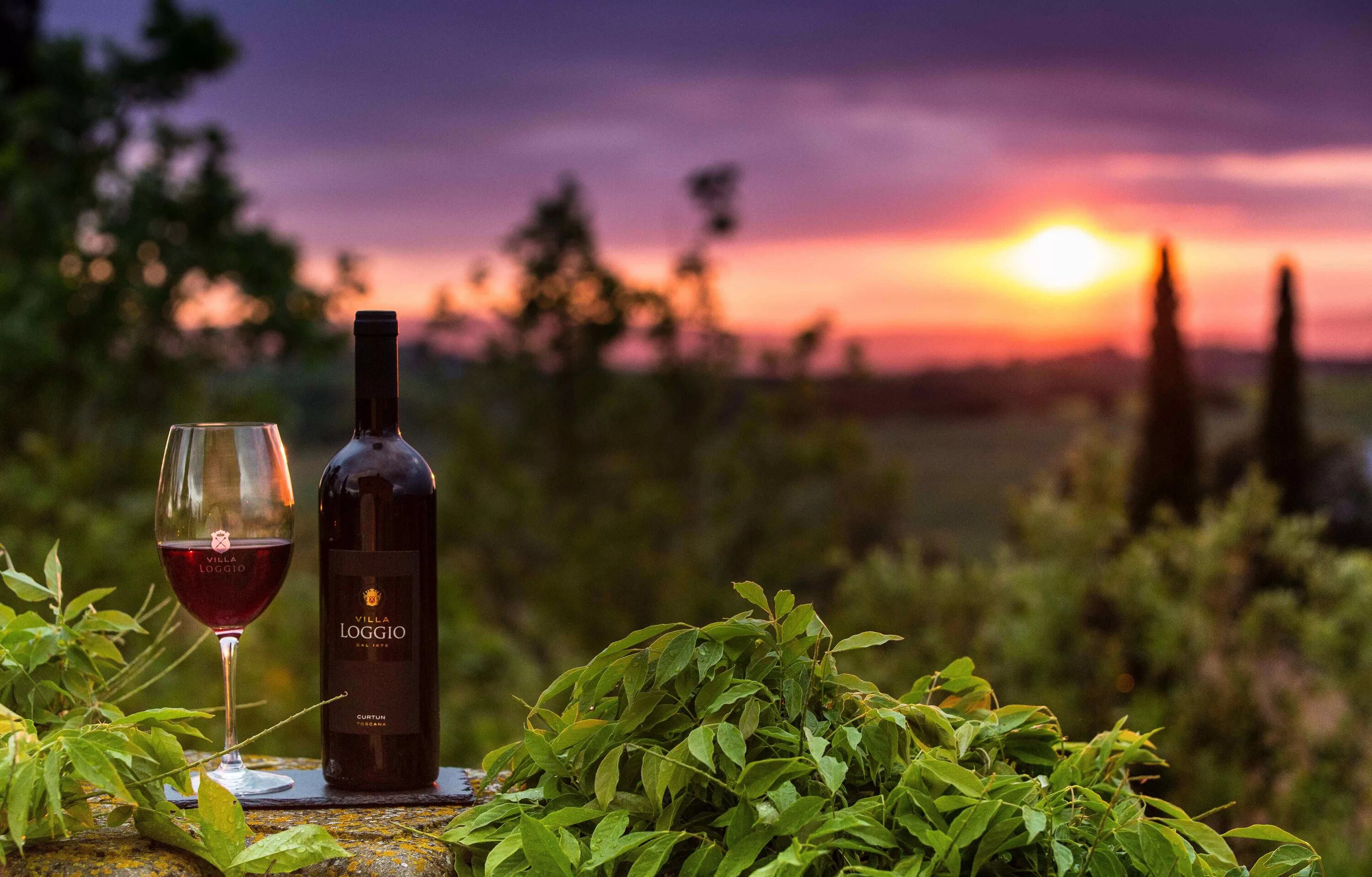 Вино красивые фото. Вино Тоскана. Вина Тосканы Италия. Вино на природе. Вино пейзаж.