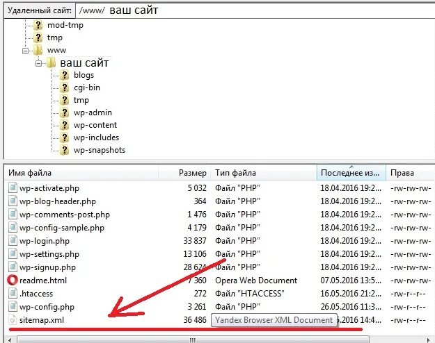 Названия папок на компьютере. Файл w. Файл w. Файл w. Файл w.