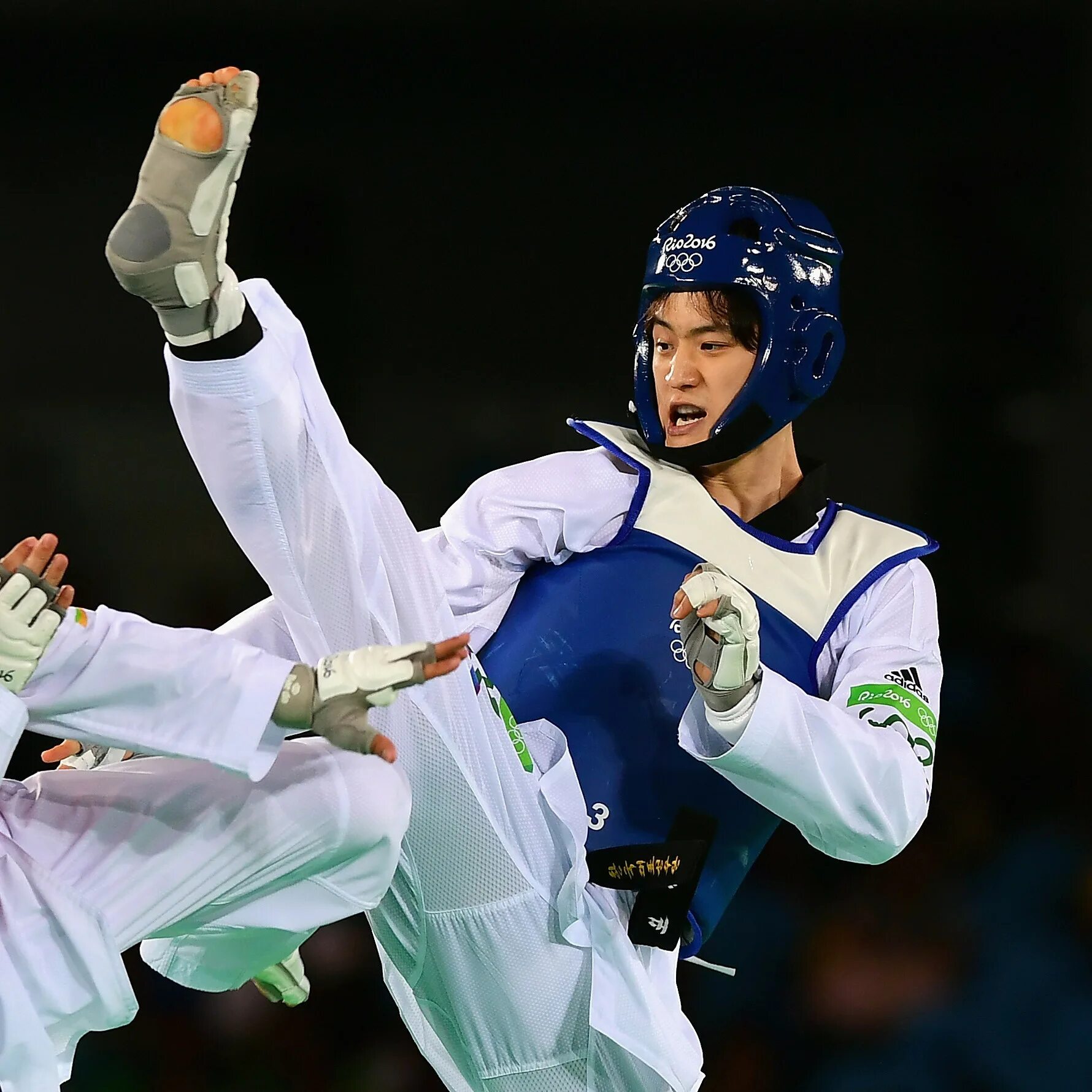 Корт тхэквондо. Lee Dae Hoon Taekwondo. Тхэквондо ВТФ Олимпийский вид спорта.