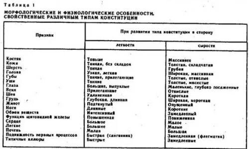Классификация видов собак. Типы конституции у собак. типы конституции собак таблица. тип конституции собак по породам. сухой тип конституции собак.