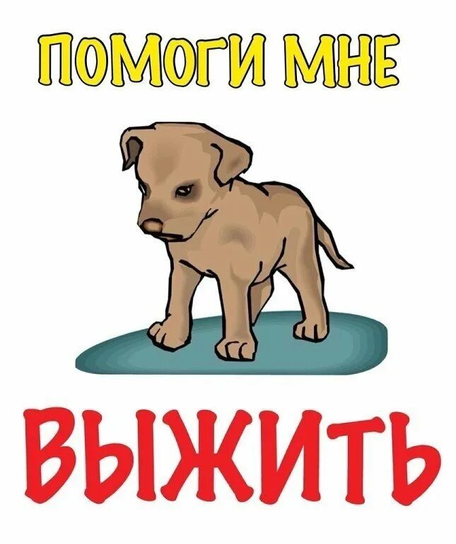 Щенку нужна помощь. Щенкам нужна помощь. нужна помощь животным. помогите спасти щенков. помогите мне выжить.