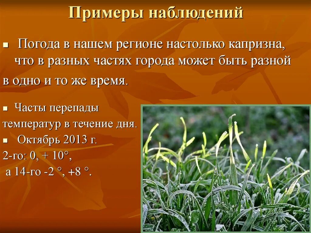 Наблюдательность сочинение из жизни. Пример наблюдения. Наблюдение примеры из жизни. Примеры наблюдательности. Примеры наблюдательности в жизни.