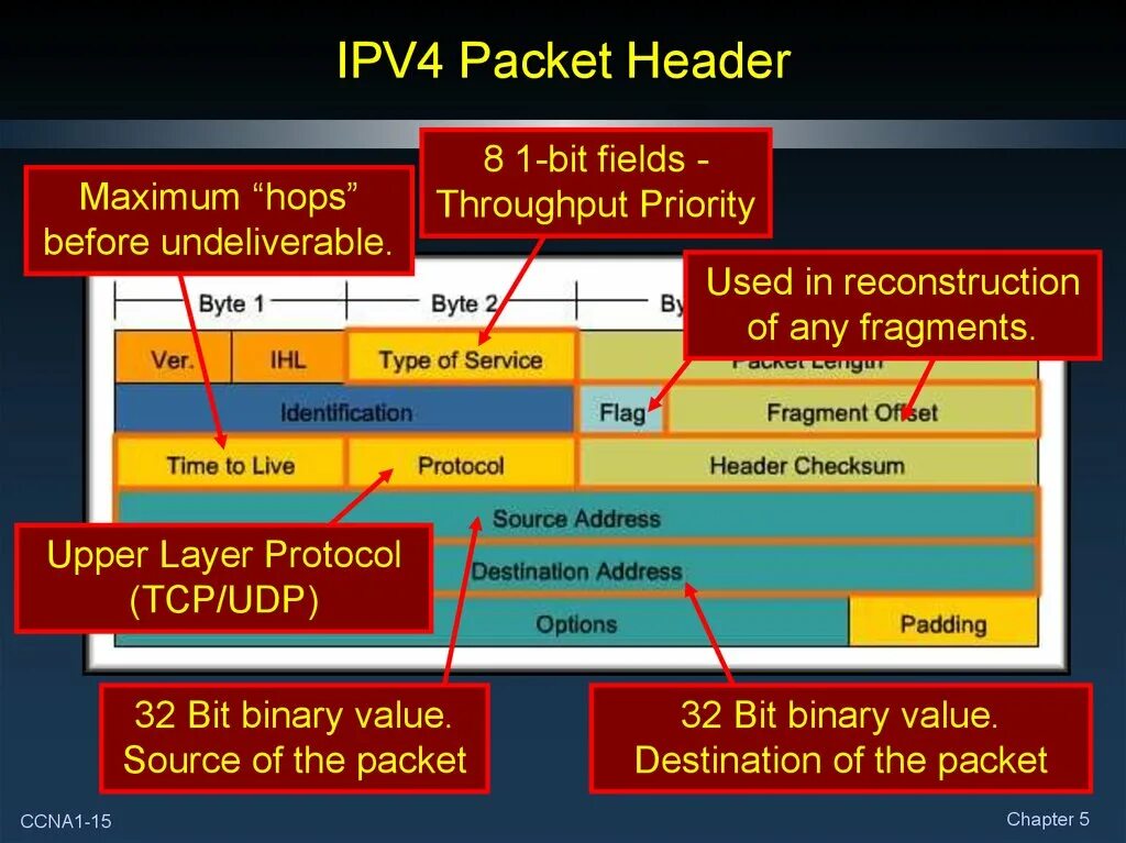 Формат пакета ipv4. Структура ipv4. Протокол ipv4.