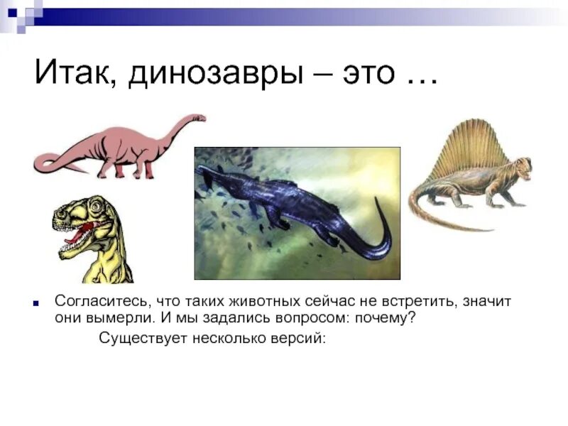 Вопросы про динозавров. Загадки про динозавров. Загадки про динозавров для детей. Вопросы про динозавров для детей. Вопросы динозавра