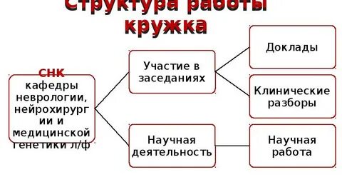Деятельность научного кружка