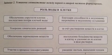 Установите соответствие между левой и правой