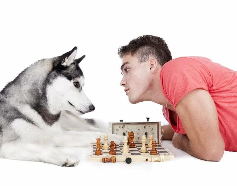 We to play chess with tomas