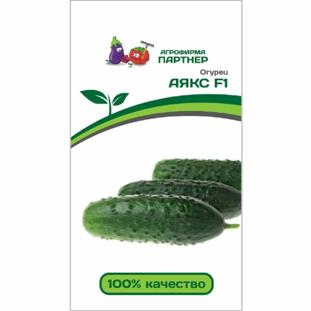 Огурец аякс голландские семена. Семена аякс. Семена огурца аякс. Огурец конни f1 12шт/10. Семена огурца аякс.