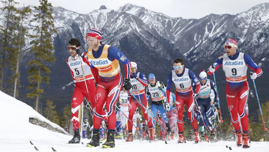 Лыжные виды на спортс ру. Лыжные гонки Норвегия. Лыжные гонки норвежец. Норвежцы лыжники 1733. Лыжный спорт в Норвегии.