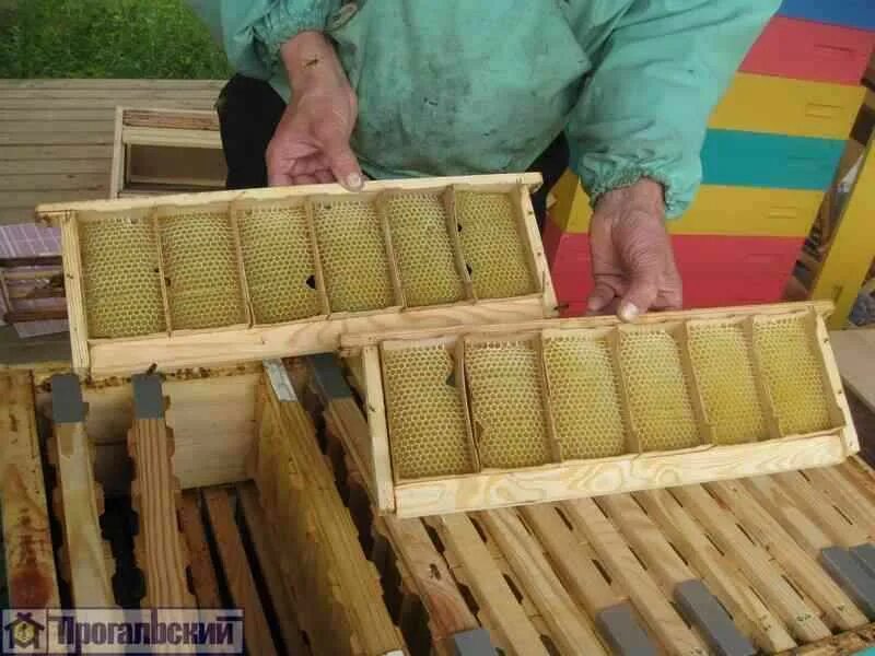 Сотовый мёд рамка Дадан. Сотовая рамка для пчел. Разборный улей. Рамка для пчелиных сот.