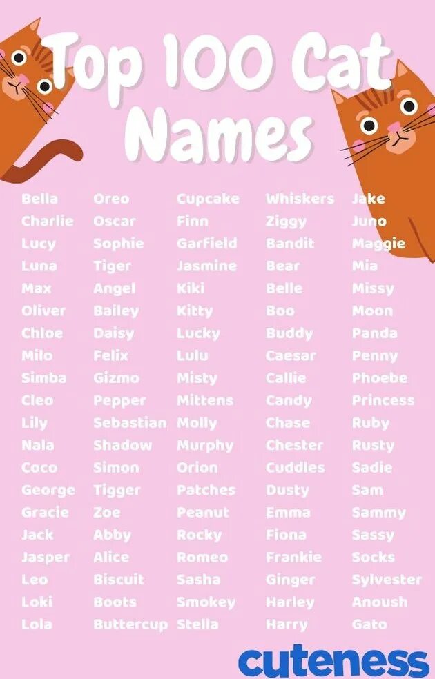 Имя кэт. Имена для кошек. Американские имена для кошек. Kittens name. Cute names for Cats.