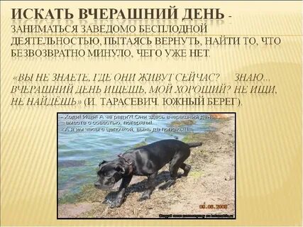Вчера был день