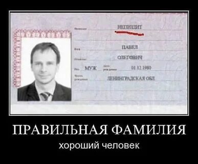 Совсем не лошадиные фамилии Андромеда Лошадкина Дзен