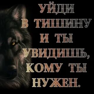 Группа одинокий волк