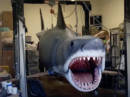 Jaws