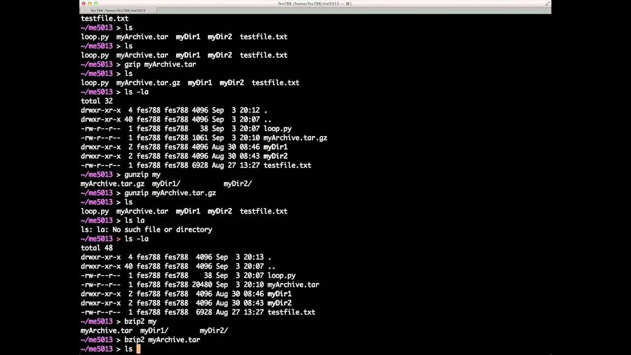 Cli guide. Командная строка unix. запуск unix. cli. ветка unix.