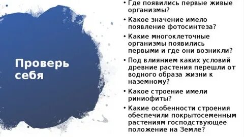 Под влиянием каких условий древние растения