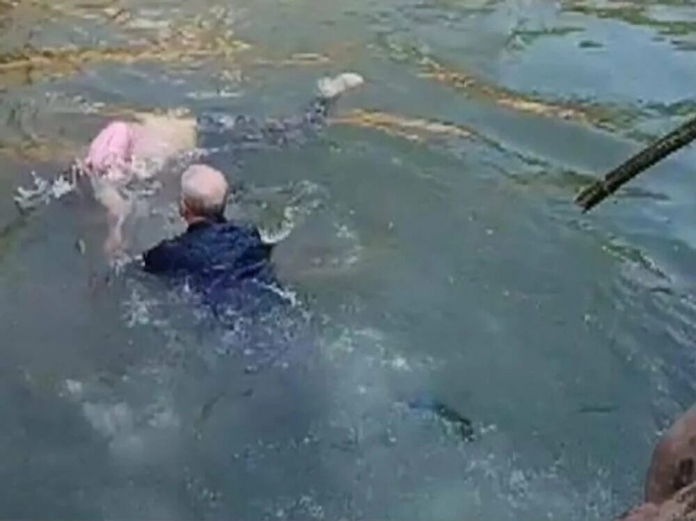 Много людей утонуло. Много людей утонуло