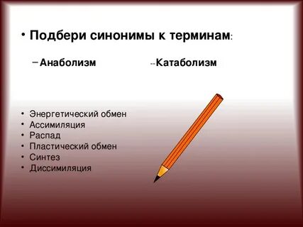 Определение и понятие синонимы
