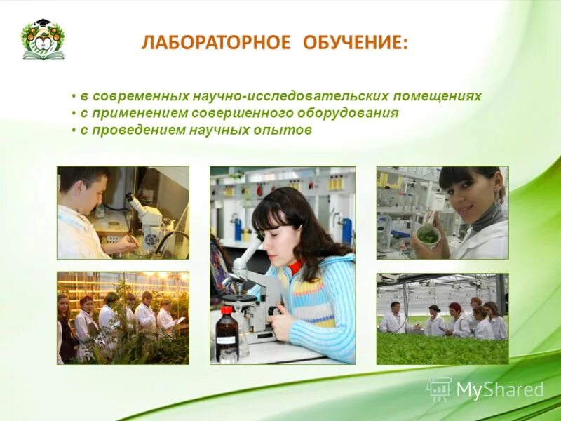 Административная ответственность. За что наступает административная ответственность. Нарушение юридической ответственности. Применение совершила. Применение совершила.