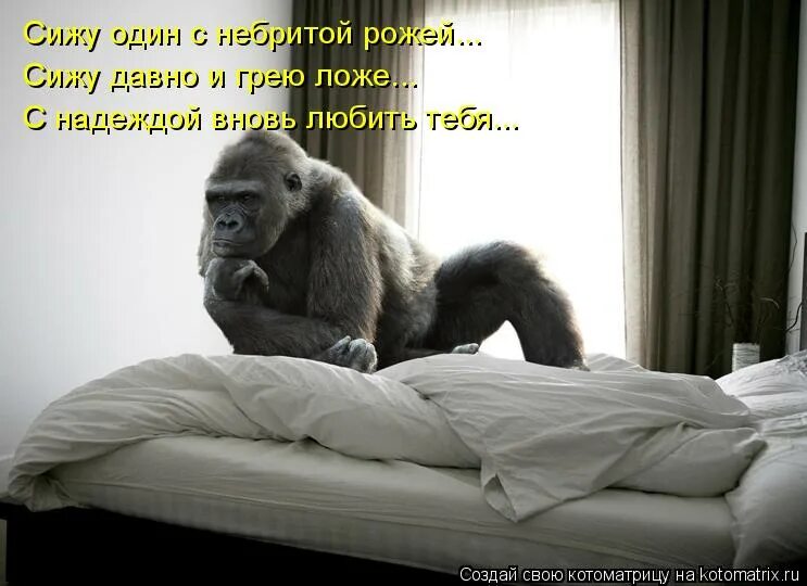 Сижу и думаю какая я