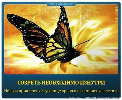 Нельзя изнутри