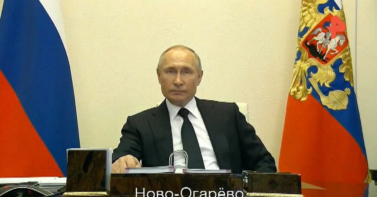 Прямое видео с путиным. Прямое видео с путиным