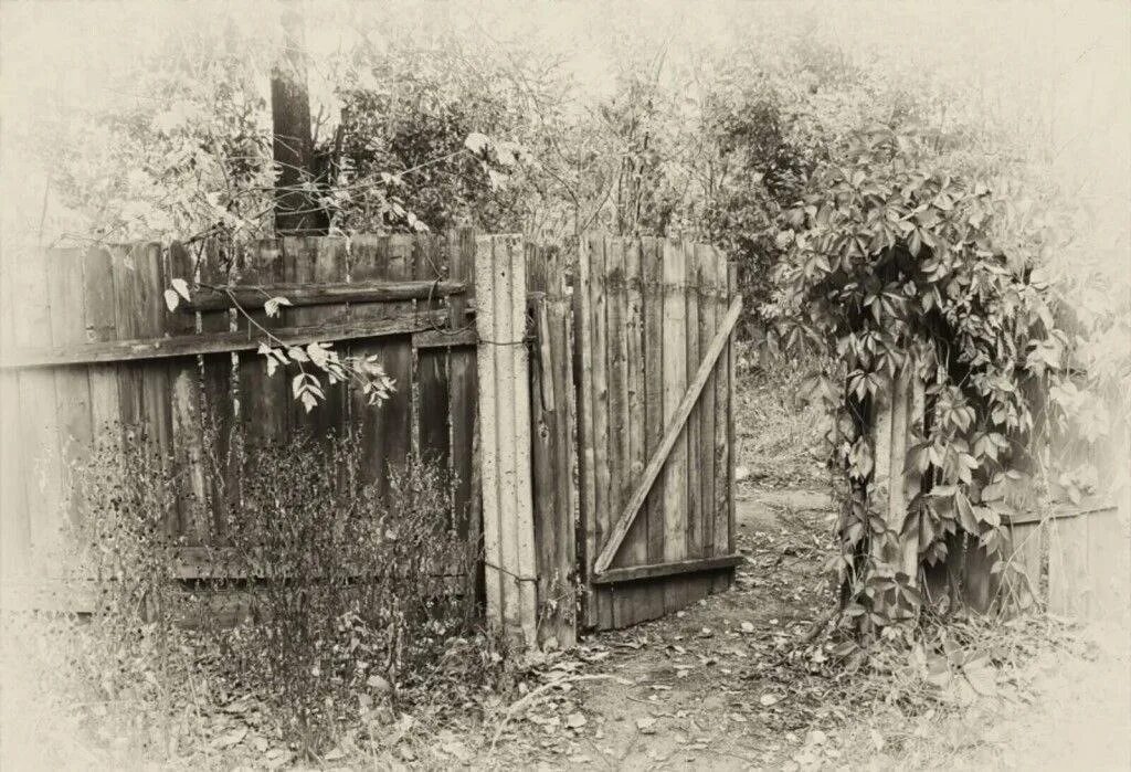 Черно белая фотозона. Старая калитка. Старый забор. Старинный забор. Деревенский забор с калиткой.