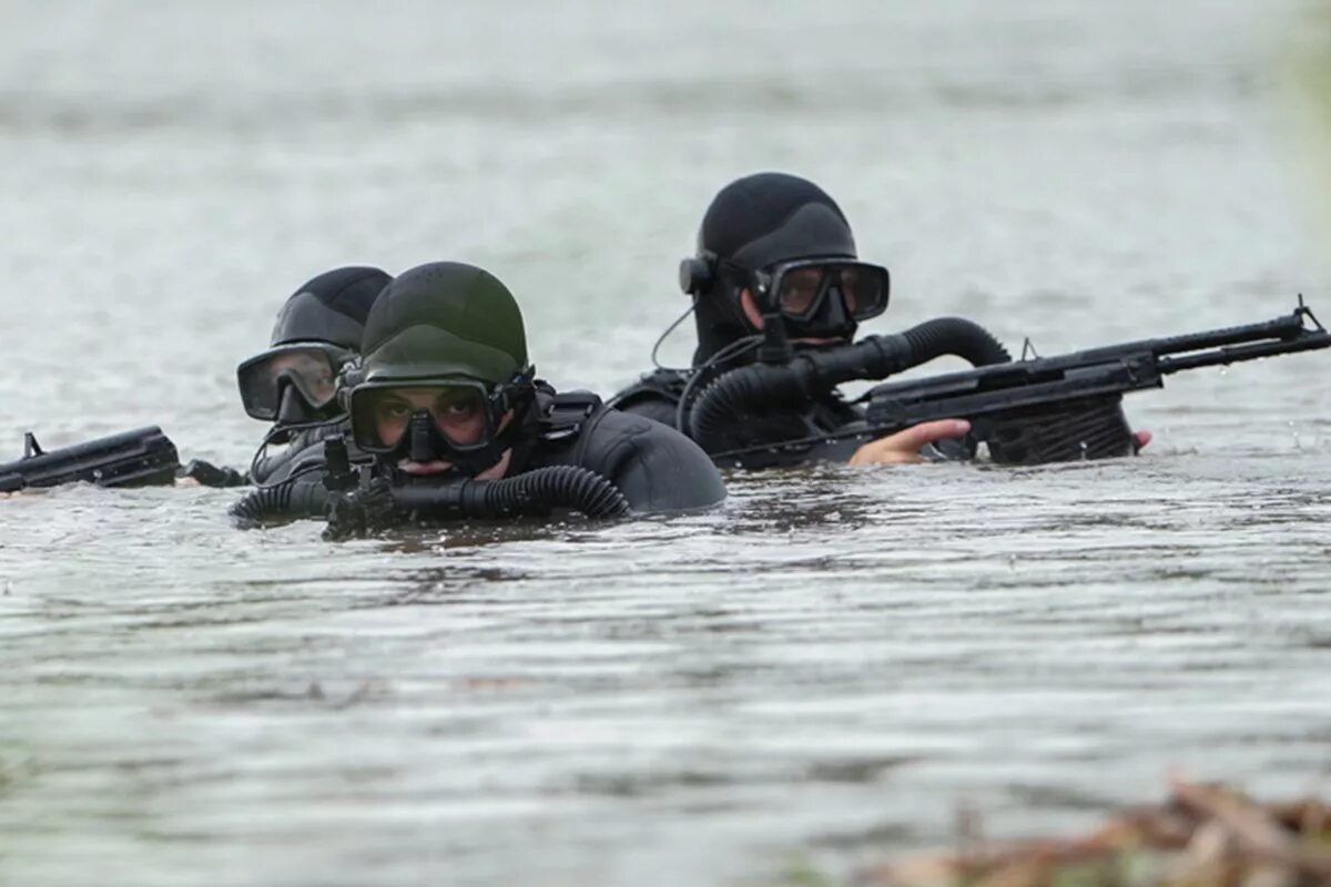 Омон росгвардии. Борьба с диверсантами. Боевые пловцы тоф холуай. Боевые дельфины россии. Отряд по борьбе с полками.