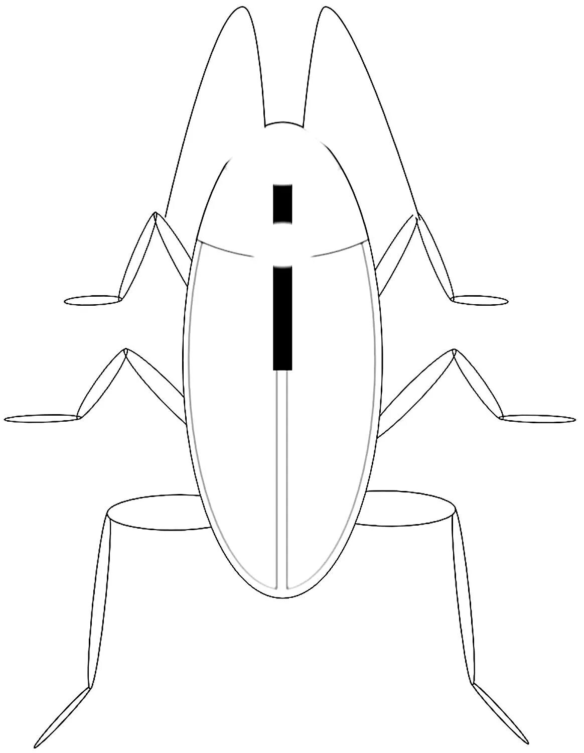 Шаблон таракана. Таракан раскраска. Таракан раскраска для детей. Симметрия таракана. Таракан рисунок карандашом.