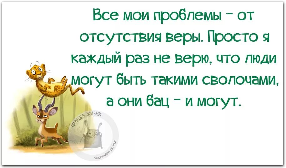 Моя проблема в том что я. Афоризмы про сволочь. Статус про сволочей. Люди сволочи цитаты. Цитаты и высказывания о свольчь.