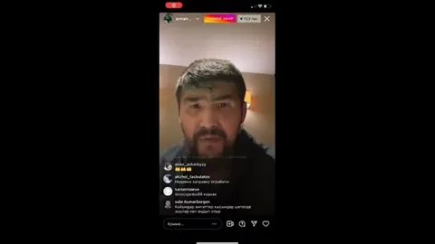 Дикий ответы