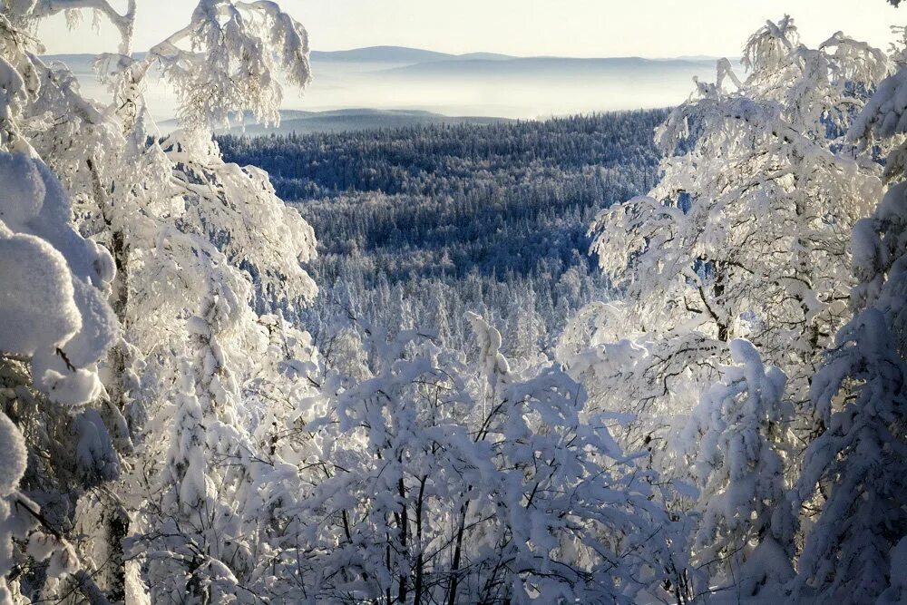 Уральские вершины зима. Зима в башкирии. Прогноз зимы на урале. Прогноз зимы на урале. Горы южного урала зимой.