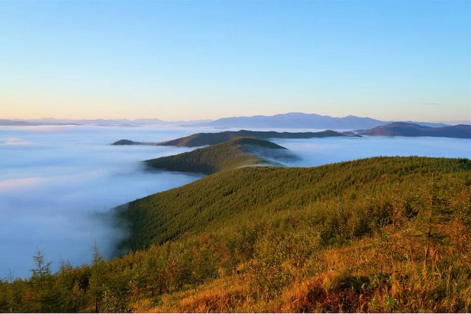 Какой форум был создан в хабаровском крае. Какой форум был создан в хабаровском крае. Туристический форум хабаровск. Герб хабаровского края новый. Герб хабаровского края.
