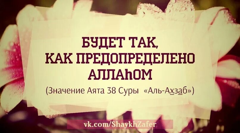 Сура ахзаб 33. Сура Аль Ахзаб. Сура 33 Аль-Ахзаб. Аль Ахзаб 33 аят. Сура Ахзаб 33 аят.