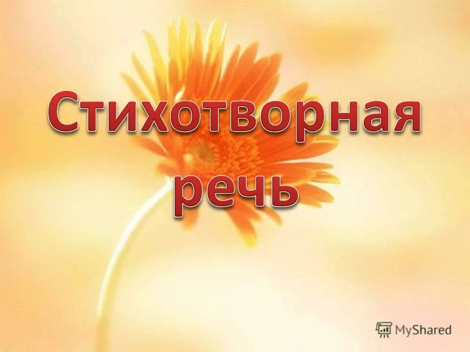 Как прохладно в чаще еловой. Как прохладно в чаще еловой