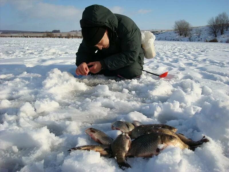 Зимняя рыбалка. Пруд зимой рыбалка. Зимняя рыбалка на карася. Ловля карася зимой. Можно ли рыбачить во время