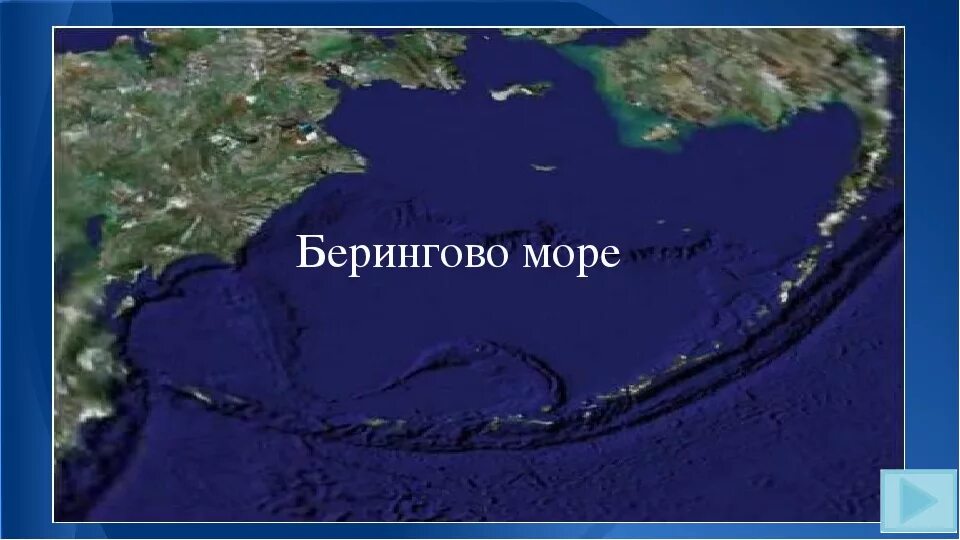 Береговая линия берингово. Берингово море на карте. Беирнгово мое на карте. Самое глубокое Берингово море.