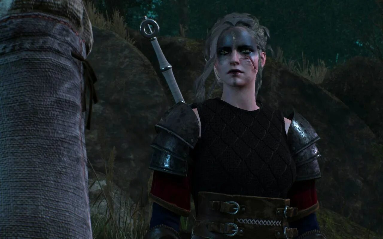 Lore friendly geralt ведьмак 3. Геральт ведьмак 3 синематик. Геральт из ривии 1. Внешность ведьмак 3. Геральт ведьмак 3 синематик.