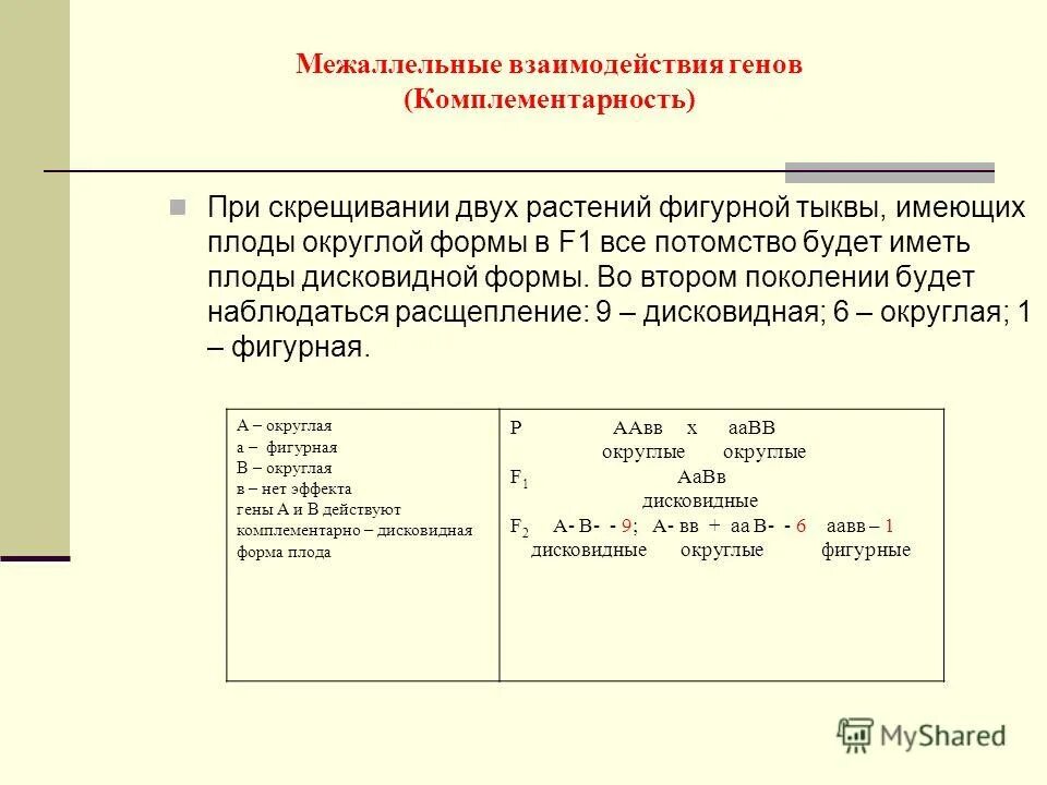 при скрещивании двух растений тыквы. окраска плодов у тыквы эпистаз. тип взаимодействия генов — комплементарное взаимодействие. при скрещивание бесплодной тыквы с желтоплодной. скрещивание растений.