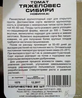 Тяжеловес сибири томат описание отзывы и фото