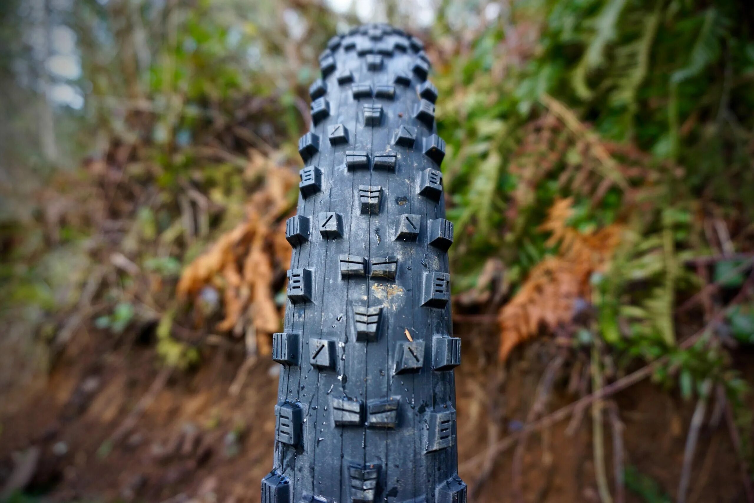Maxxis recon. Maxxis forecaster 29x2.35. maxxis forecaster 27.5. maxxis forecaster 2.35. maxxis forecaster 29.