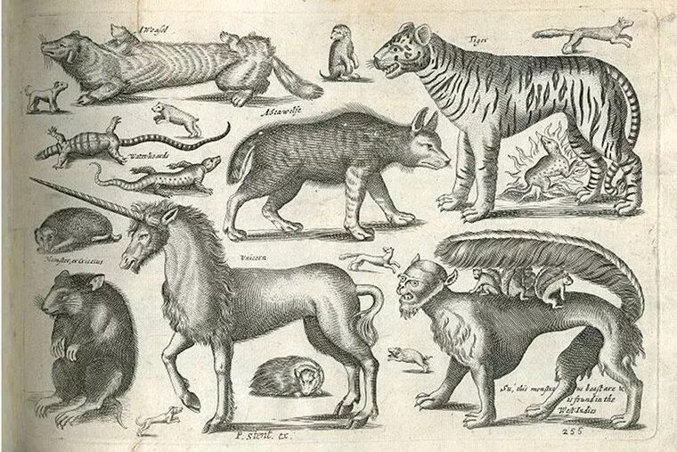 История животных ведет начало от. Средневековый бестиарий единорог. старинные гравюры животных. животные древности. древние звери.