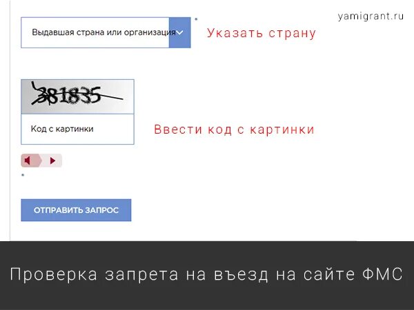 Проверить запрет официального сайта рф. Проверка запрета. Проверка запрета на въезд в Россию. Как проверить запрет на въезд в РФ.