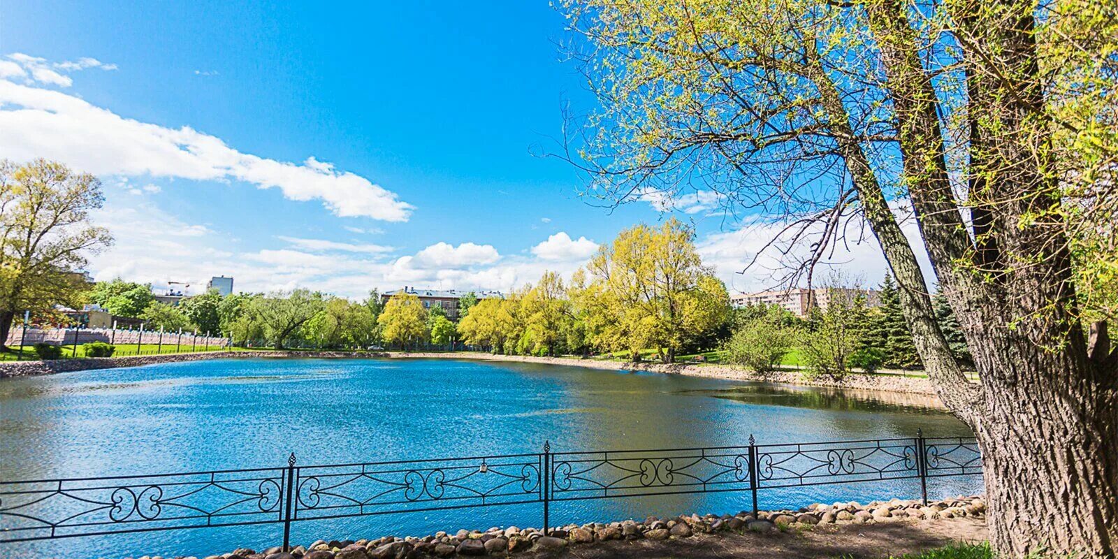 Пруды с. Село московское ставропольский край. Пруд рязанская область. Пруд рязанская область. Пруд пятилетка.